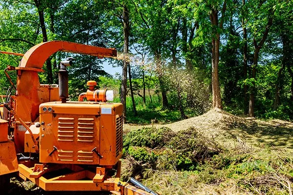 Tree service crew feeding green waste and branches into a wood chipper on site