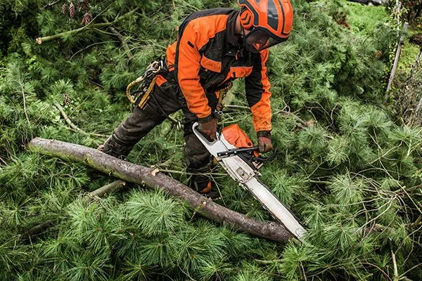 Emergency Tree Services