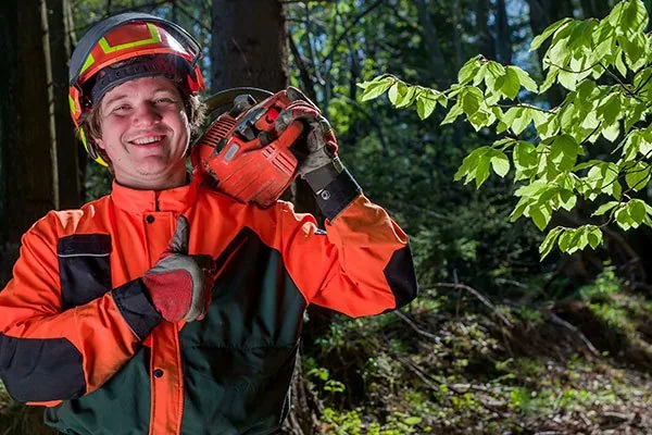 Tree Lopping & Pruning